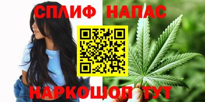 индика Кинель
