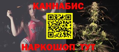 индика Кинель