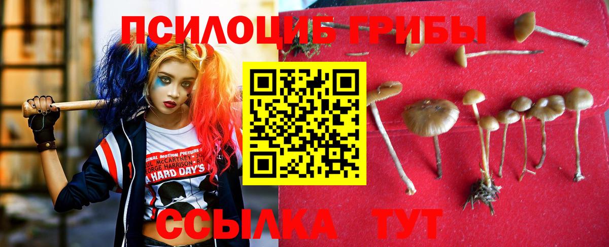 Галлюциногенные грибы ЛСД  Вход с VPN  Краснознаменск  Галлюциногенные грибы Magic Shrooms 